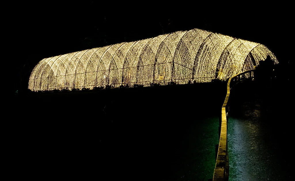 A tunnel of lights on the Illuminated Trail at Blenheim Palace, Woodstock; this year's trail has a new design